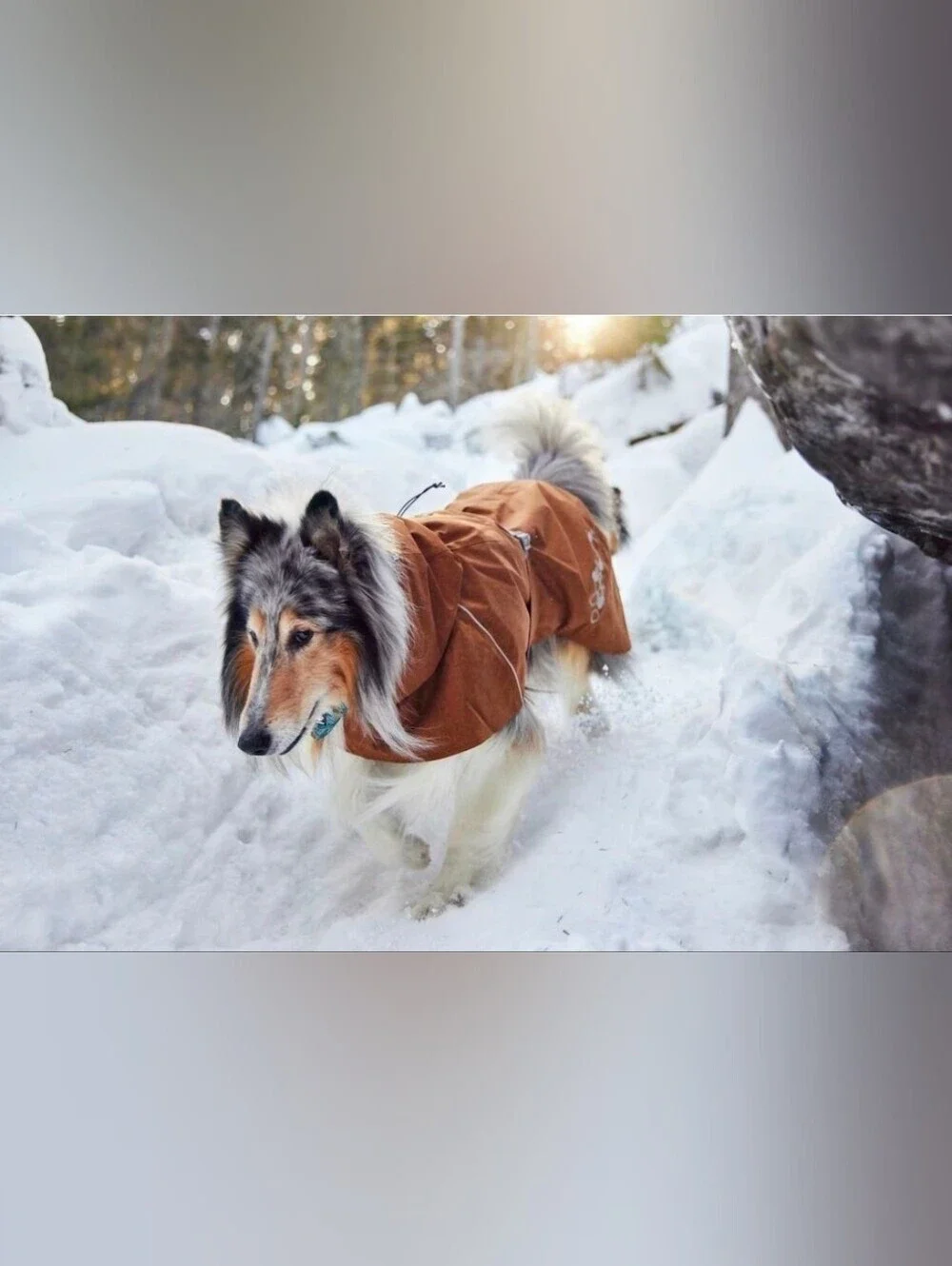 Hurtta Monsoon II Dog Raincoat